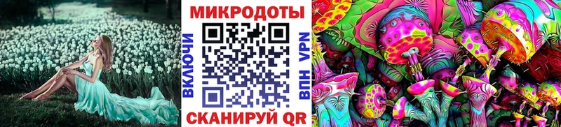 купить наркотик  Певек  Псилоцибиновые грибы Magic Shrooms 